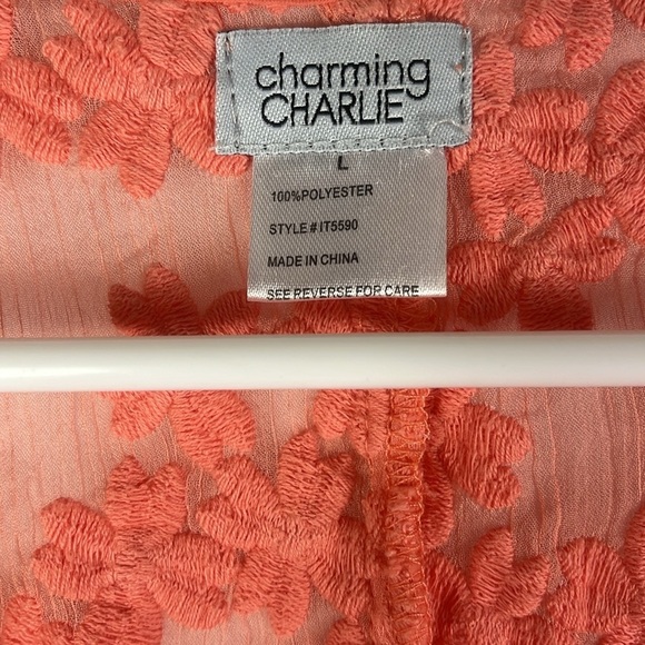 Charming Charlie gauzy lacy batwing peplum sheer top Sz L in orange - Picture 5 of 10